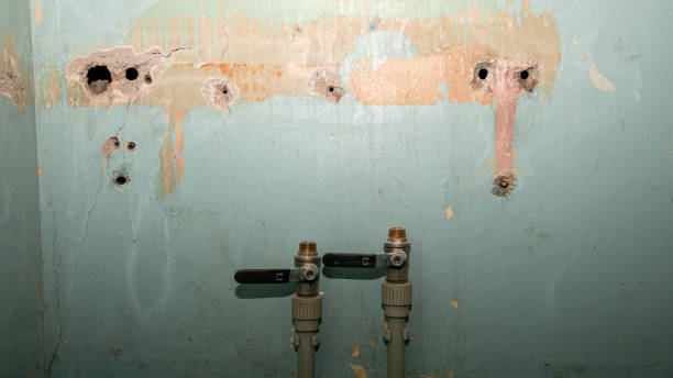 Best Sewage cleanup and water damage restoration  in Richland, WA