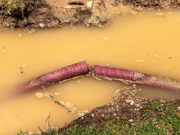 Best Water damage restoration near me  in Richland, WA